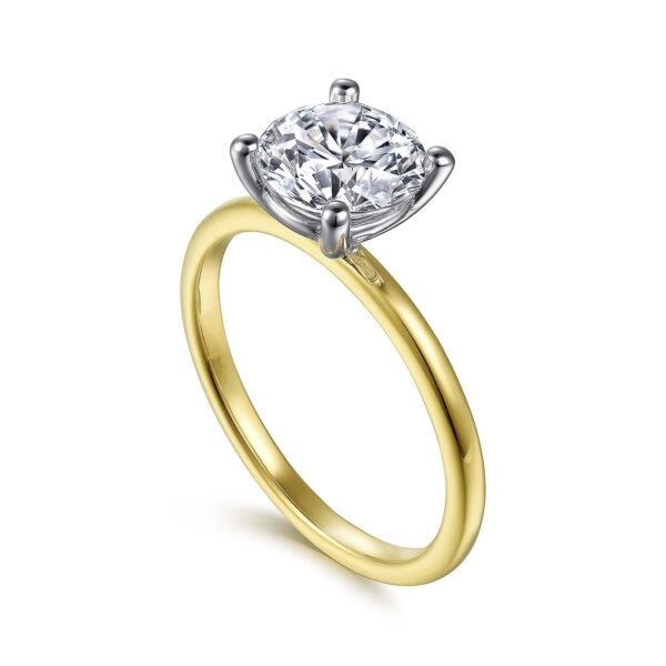 14K White-Yellow Gold Diamond Engagement Ring - Image 3