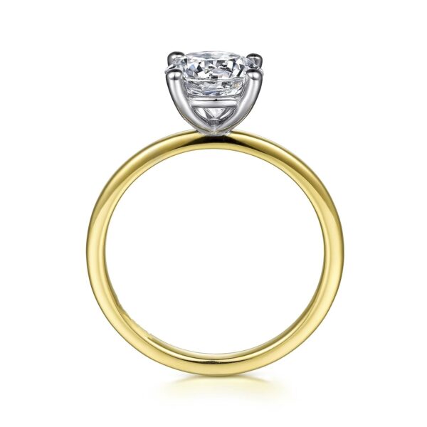 14K White-Yellow Gold Diamond Engagement Ring - Image 2