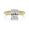 14K White-Yellow Gold Hidden Halo Oval Diamond Engagement Ring