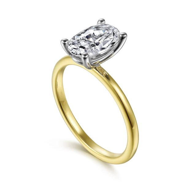 14K White-Yellow Gold Diamond Engagement Ring - Image 4