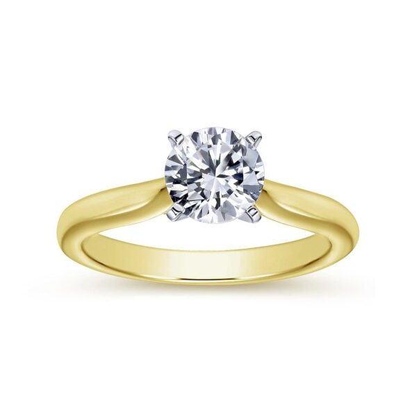 14K White-Yellow Gold Round Diamond Engagement Ring - Image 5