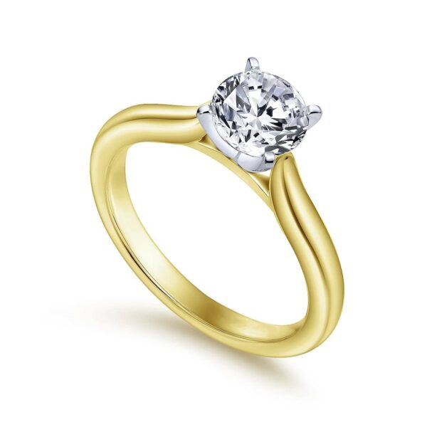 14K White-Yellow Gold Round Diamond Engagement Ring - Image 3