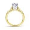 14K White-Yellow Gold Round Diamond Engagement Ring - Image 2