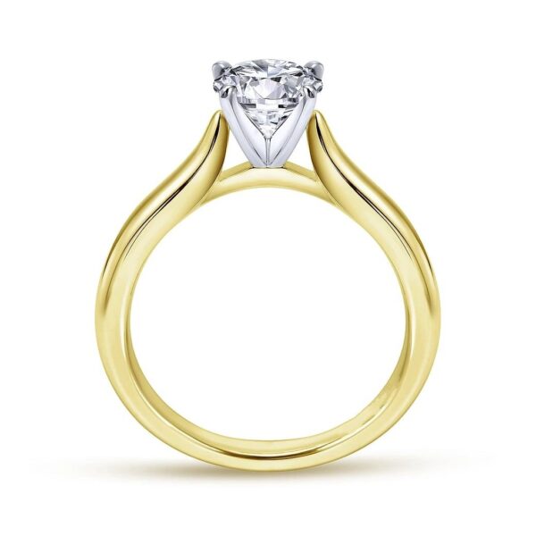 14K White-Yellow Gold Round Diamond Engagement Ring - Image 2